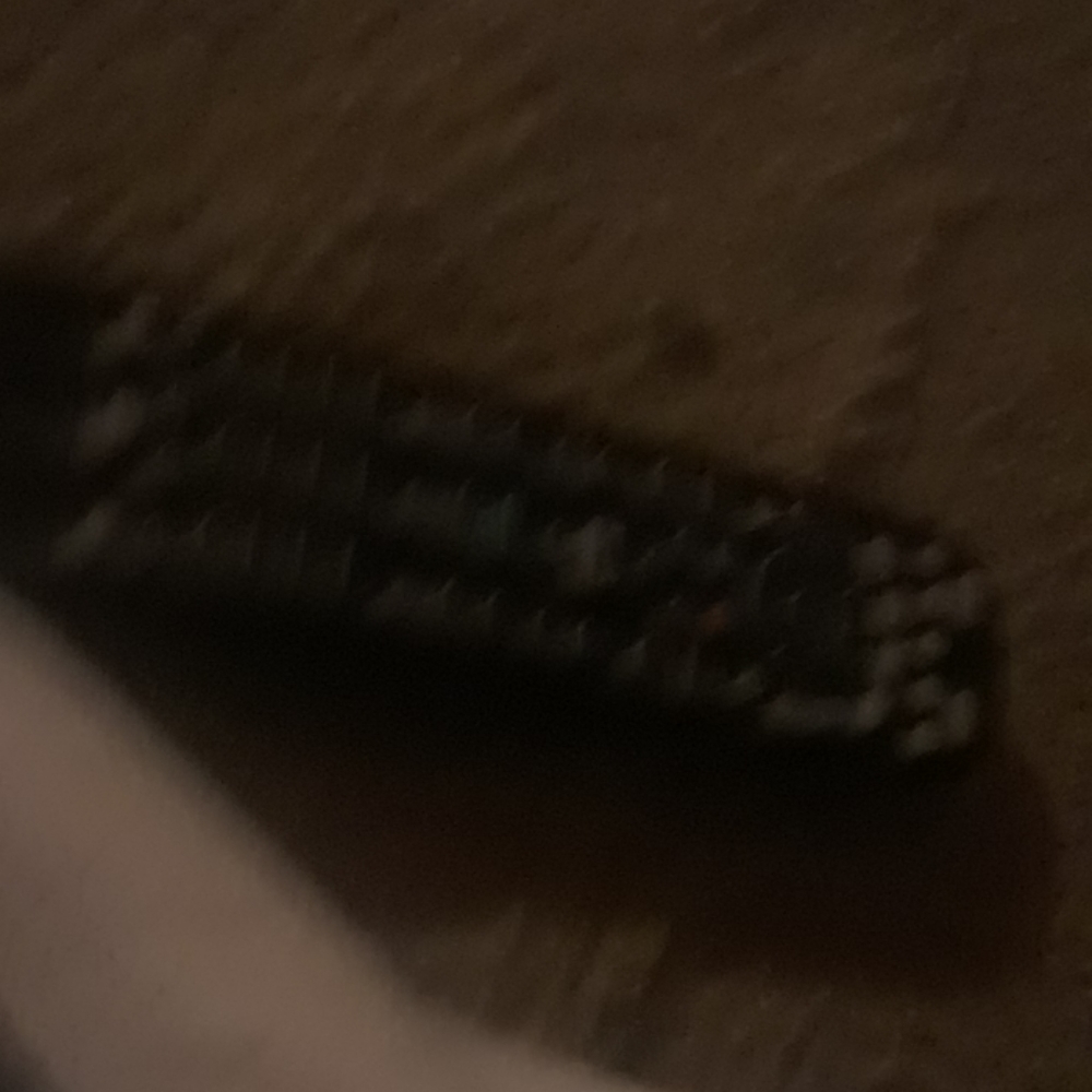 Gg